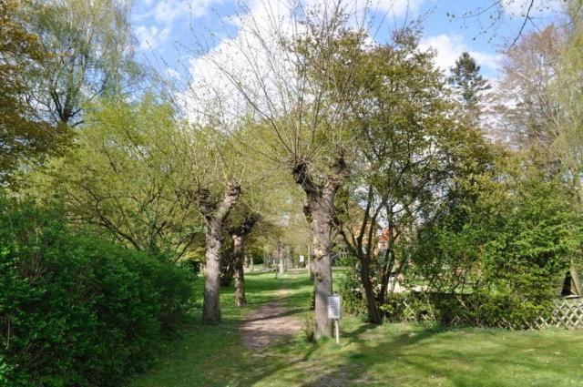 Ferienwohnung Suedpark Шнефердінген Екстер'єр фото